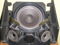 Bose 601 Series II Speakers - Woofers Refoamed - Near M... 3