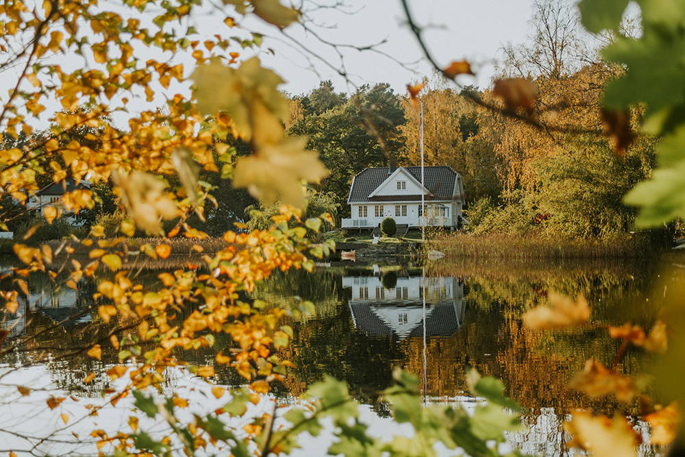 Cottage By The Sea in Maine Column