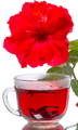 heart healthy hibiscus tea