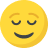 Alt Image