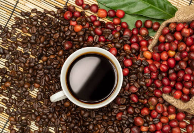 マンデリン コーヒー