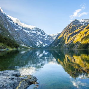 New Zealand Honeymoon