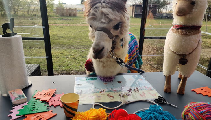 kindergeburtstag helmut