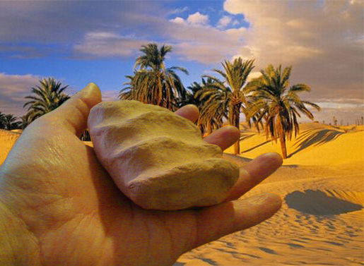 Coconut-Audio VibraPortal Sahara Forest (year 2011 award!)
