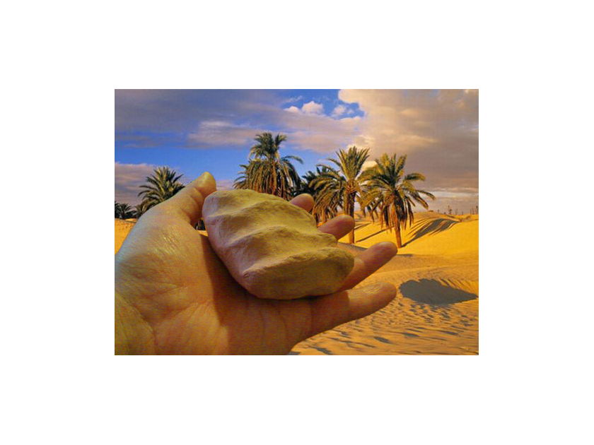 Coconut-Audio VibraPortal Sahara Forest (year 2011 award!)