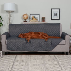Furniture Protector, Gray, Sofa - Chewy.com