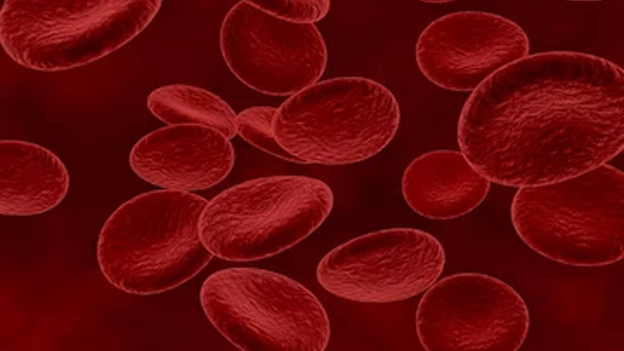 Unraveling the Myth Does CoQ10 Cause Blood Clots