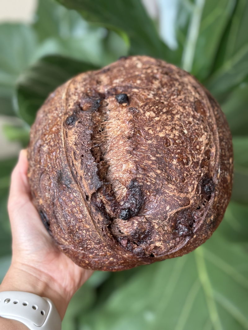 Tuscany Bread Co. — photo from hotplate.com