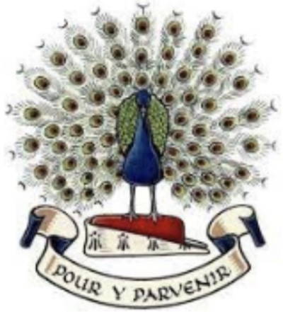 Ilkeston Rutland Cricket Club Logo