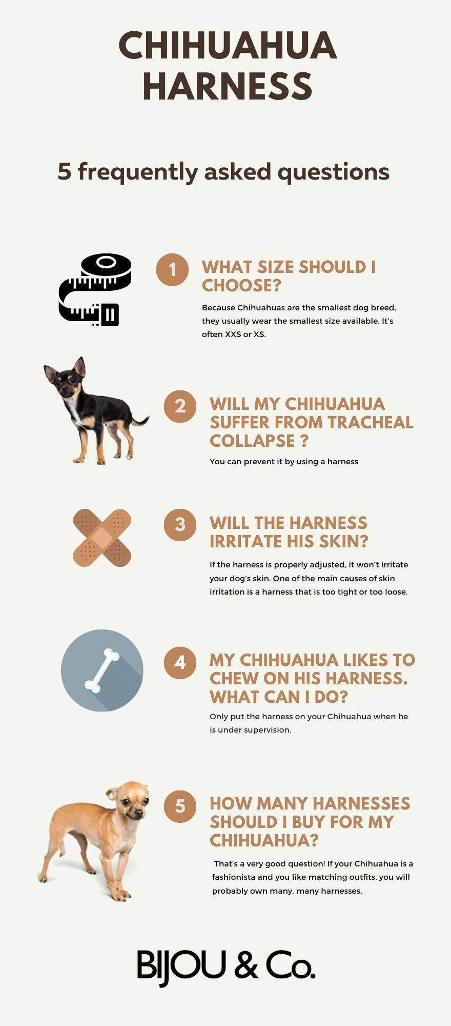XXS dog harness for chihuahua