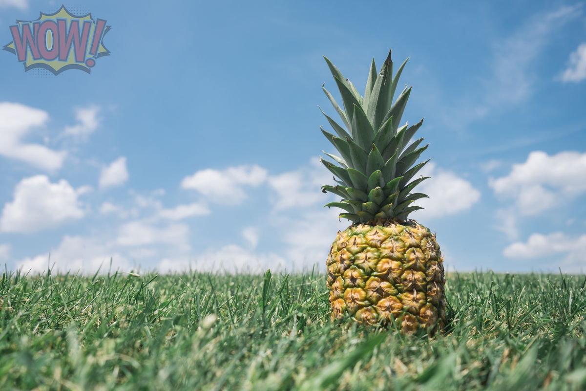 A pineapple image with a semi-transparent watermark in the top left corner