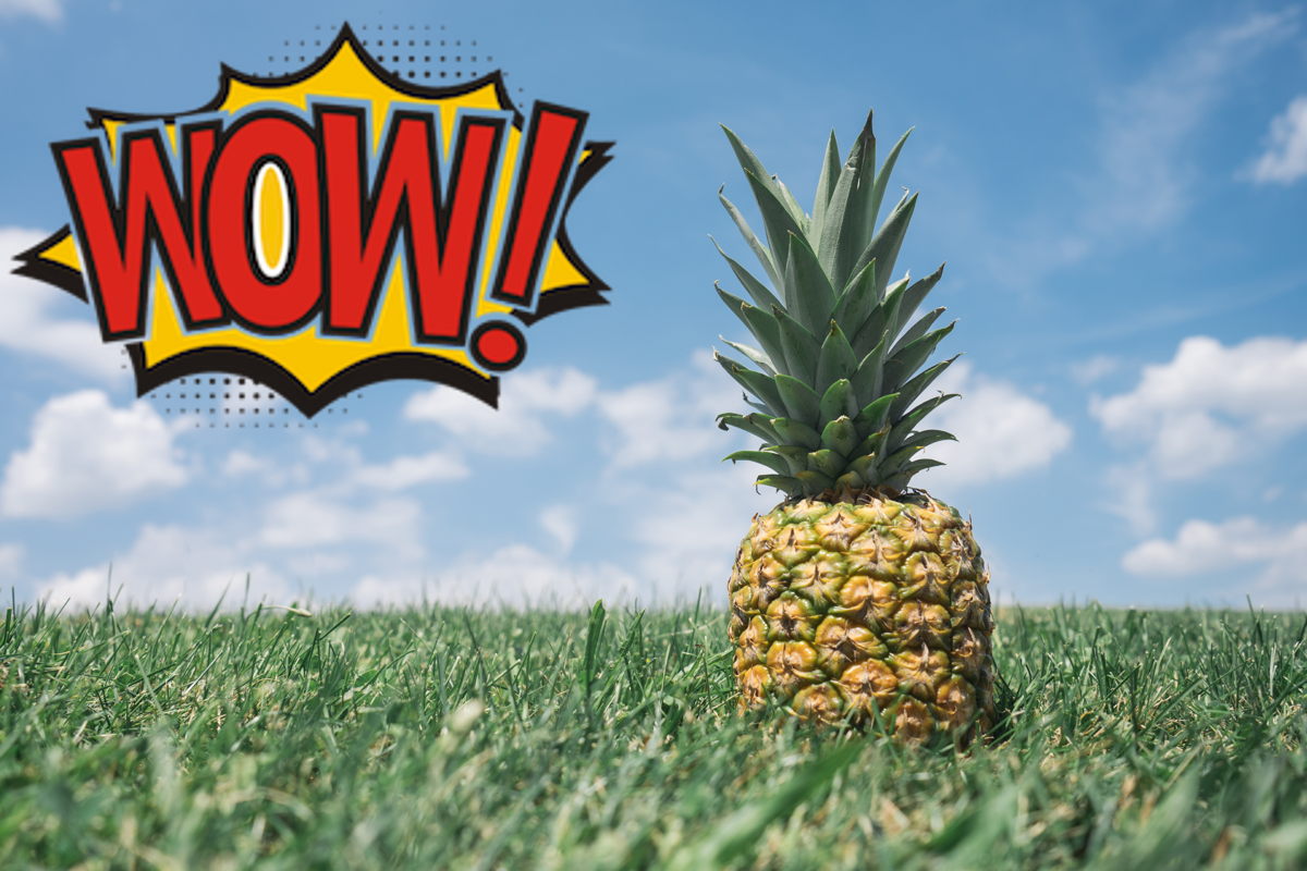 An image of a pineapple with a large opaque watermark in the top left corner