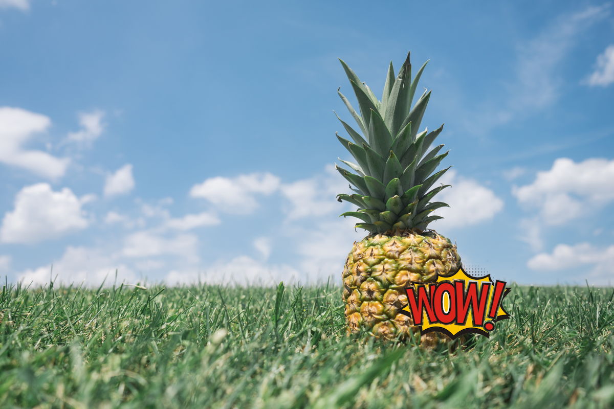 An image of a pineapple covered by an opaque watermark