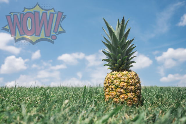 A pineapple image with a semi-transparent watermark in the top left corner