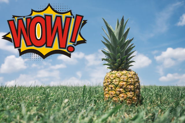 An image of a pineapple with a large opaque watermark in the top left corner
