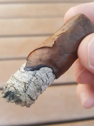 Cigar Session Photo