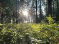 my slideshow