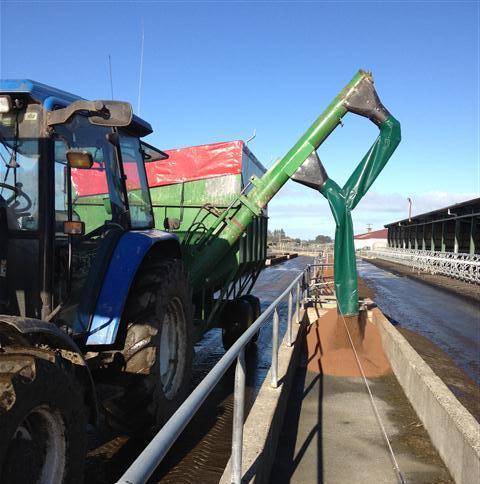 Feeding PKE at a Farm in Drummond, Central Southland