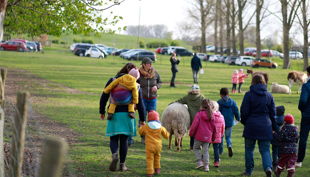 hof elverich kinder und eltern auf wiese