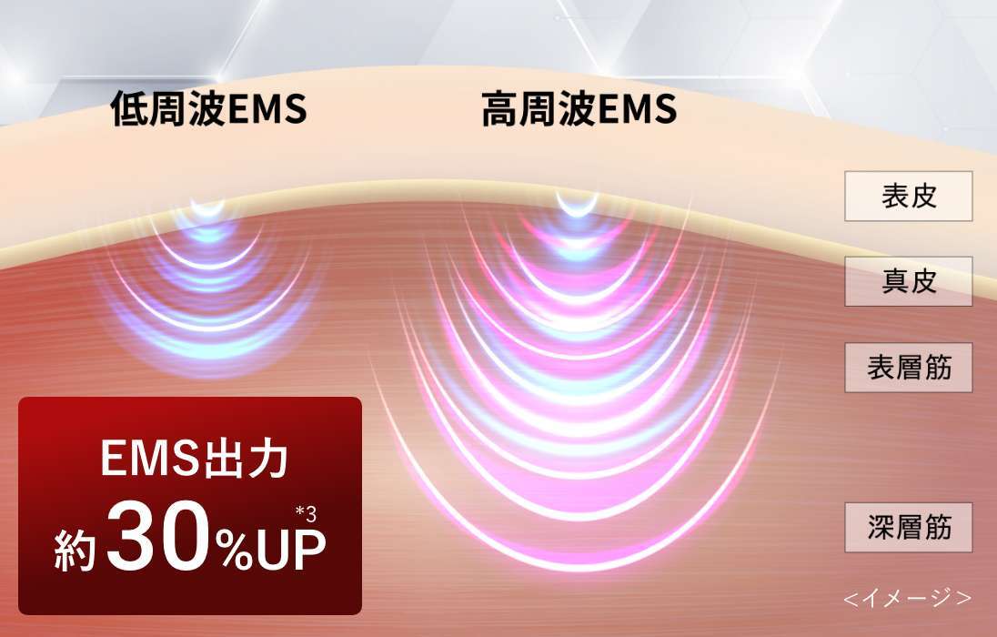 EMS出力