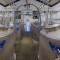 Cuves de fermentation Washbacks de la distillerie Glen Scotia sur la péninsule de Kintyre dans la région de Campbeltown en Ecosse