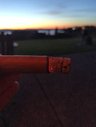 Cigar Session Photo