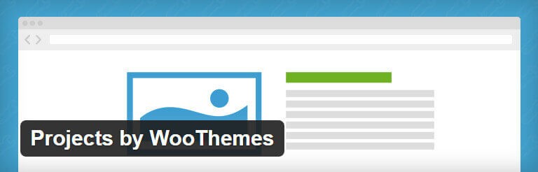 Projects by WooThemes - портфолио на сайте WordPress