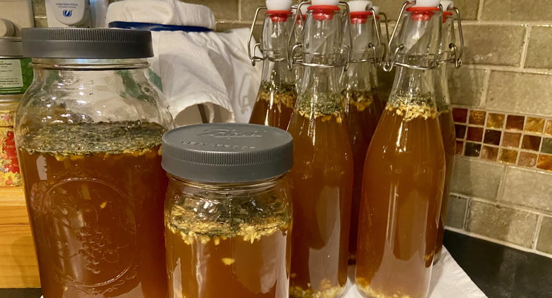 Kombucha Making Workshop