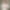 My Profile Picture