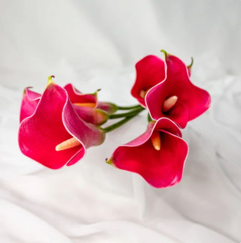 Fuchsia Small Calla Lily - Realistic Artificial Flowers