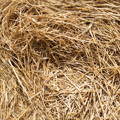 chopped straw