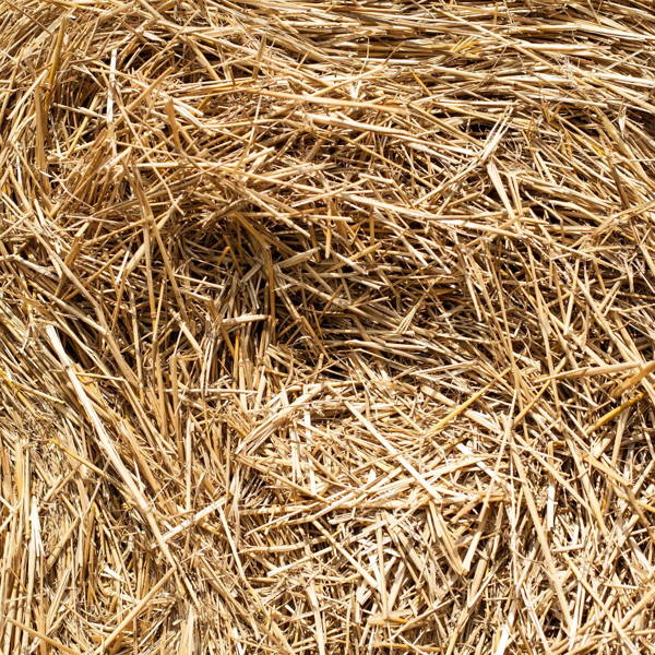 chopped straw
