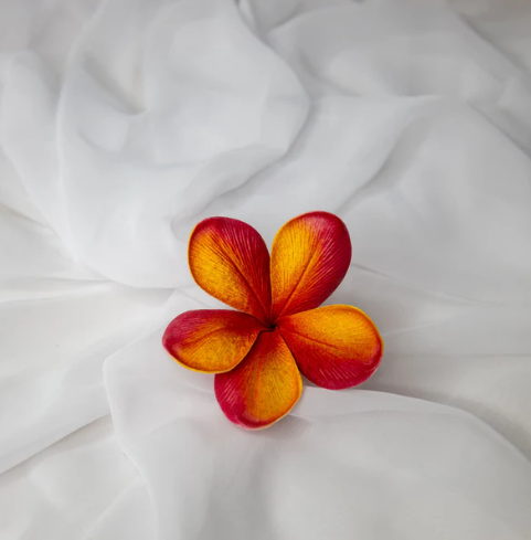 Tropical Frangipani Flowerhead ( 6 Pack ) - Realistic Artificial Flowers - Image 2