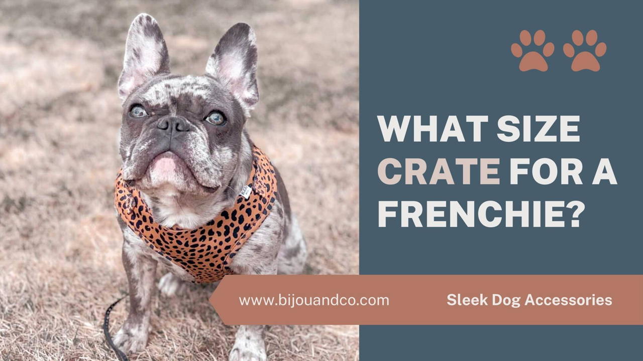 what size crate for a french bulldog