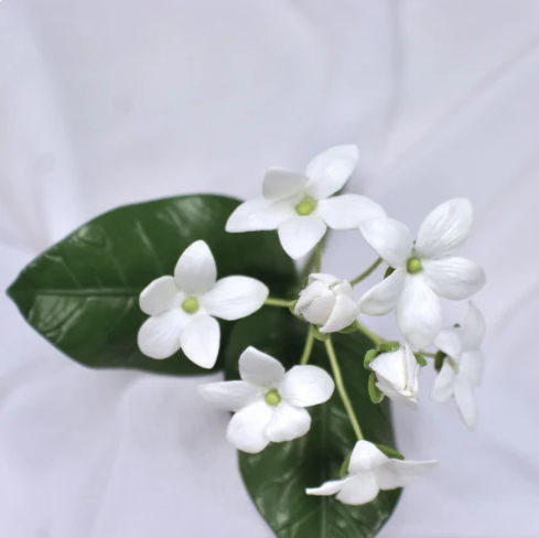 Stephanotis - Realistic Artificial Flowers - Image 2