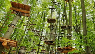 abenteuerpark potsdam blick in die baumkronen