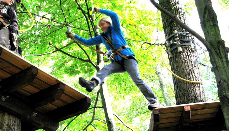 treetree der risiko sprung