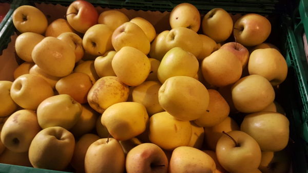 petite-pomme-tentation