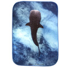 Whale Shark - Gym Towel
