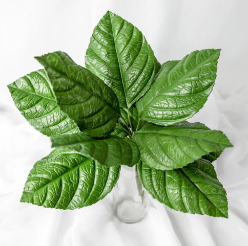 Hydrangea Leaf (12 Pack) - Realistic Artificial Flowers and Greenery - Image 3