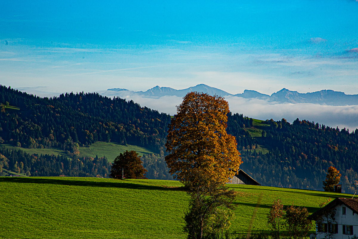 Ausblick auf verschneites Westallgäu