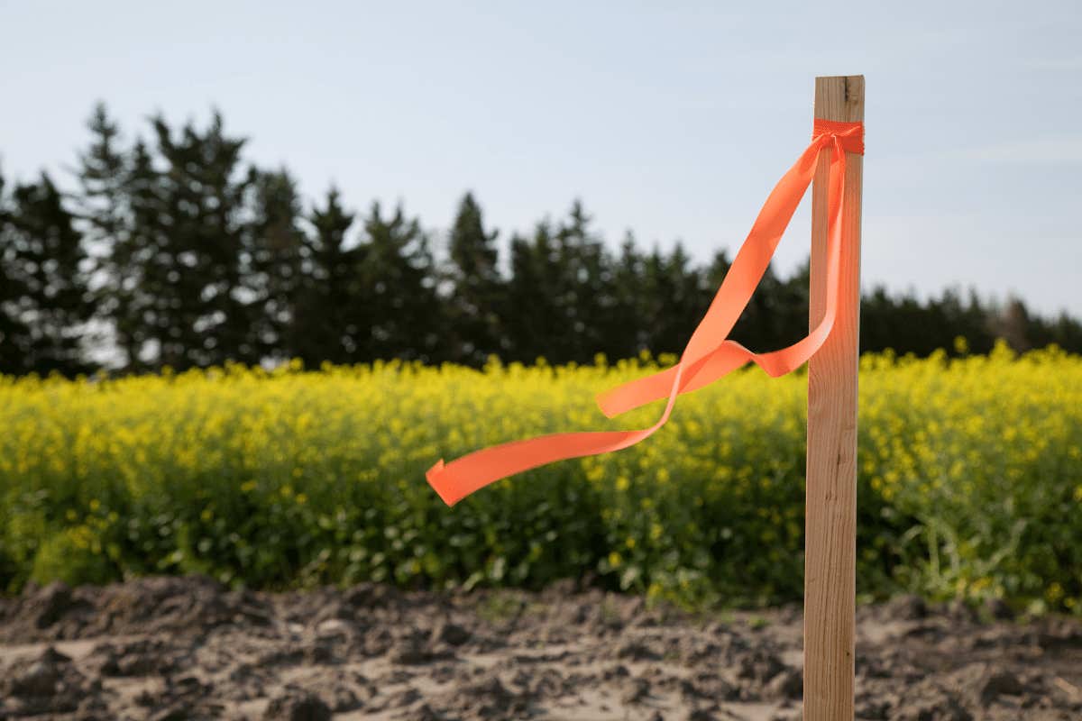 A stake in the ground