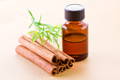 Cinnamon: Essential Oils for Acne