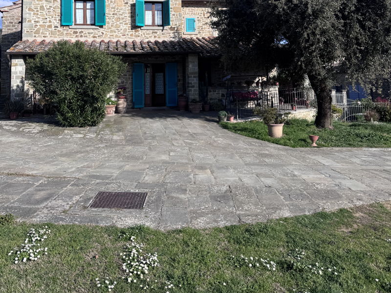 Cooking classes Cortona: Fresh handmade pasta in the hills of Cortona