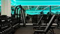 Commercial gym training floor with RGB LED strip ceiling lighting by Havit at DynamiQ Wellness Centre in Canberra ACT.