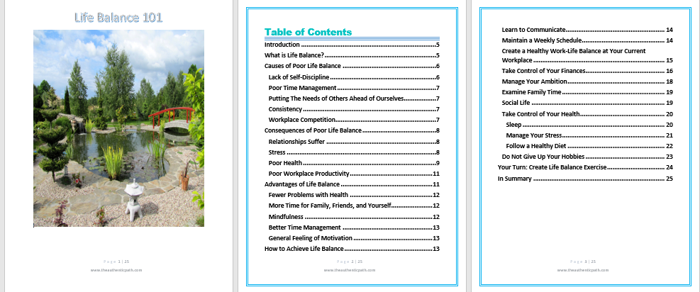 Ebook Life Balance 101 cover and table of contents.PNG