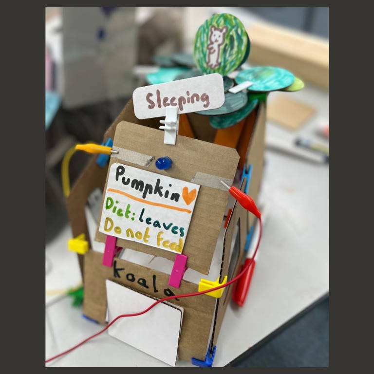 photo of zoo project  - cardboard model of a zoo structure with labels