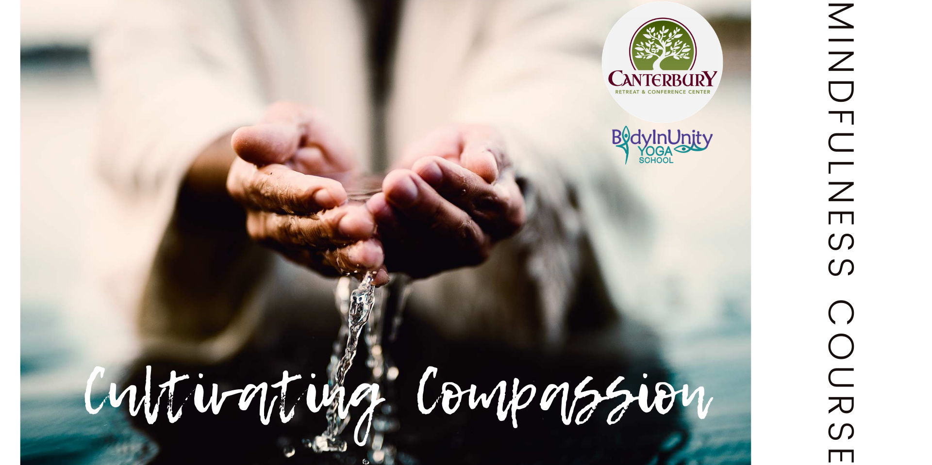8wk Mindfulness Course: Cultivating Compassion promotional image