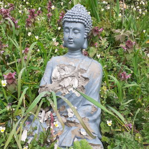 Sava Avatar