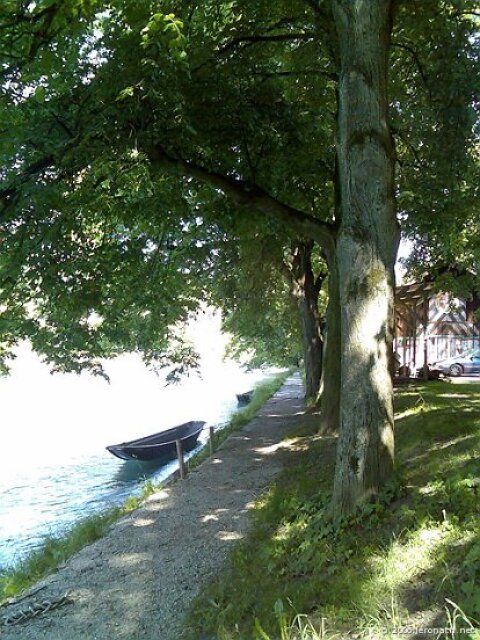 Fleuve Aar à Berne 7 - juin 2006